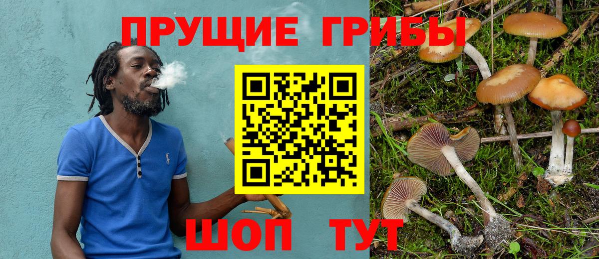 Псилоцибиновые грибы GOLDEN TEACHER  Вход с VPN  Тулун 